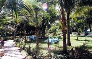 Hotel-Boca-Canasta-Caribe-garden